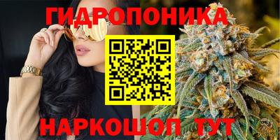 ПСИЛОЦИБИНОВЫЕ ГРИБЫ Гусь-Хрустальный